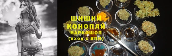 СК Бердск