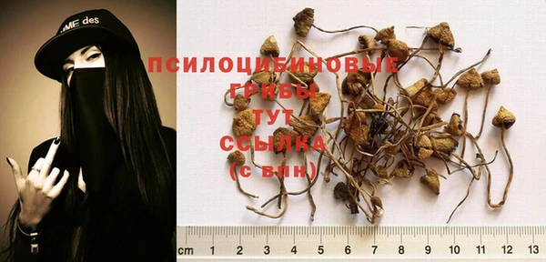 бутик Горно-Алтайск