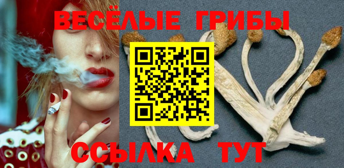 Губкин  Галлюциногенные грибы GOLDEN TEACHER  Вход с VPN 