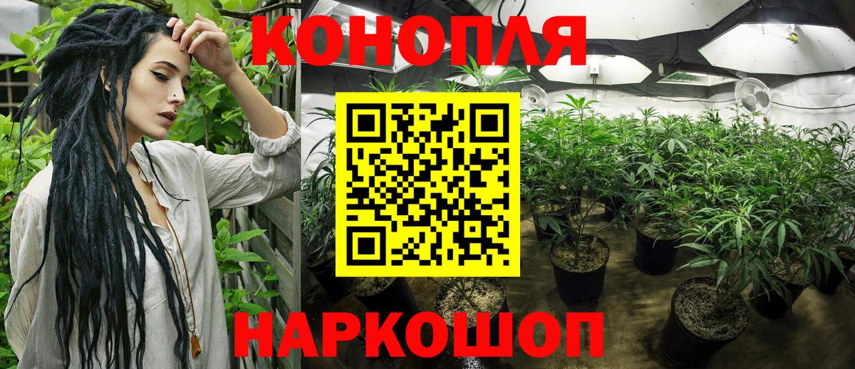 Каннабис AK-47 Губкин